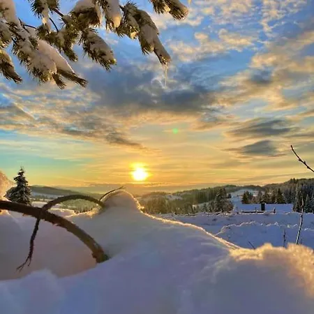 Chalet Chata U Hrusku 100m Od Sjezdovky *